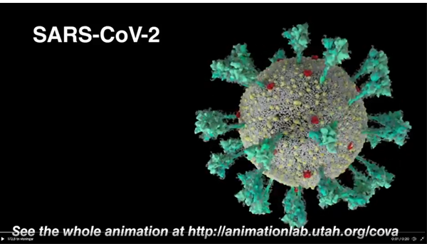 A visualization of a sars-cov2 particle