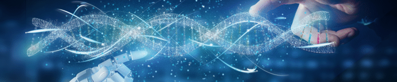 WASP-HS, DDLS, WASP joint conference image