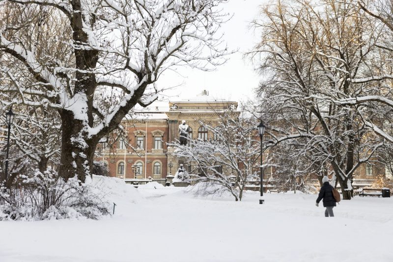Foto: Mikael Wallerstedt, Uppsala universitet.
